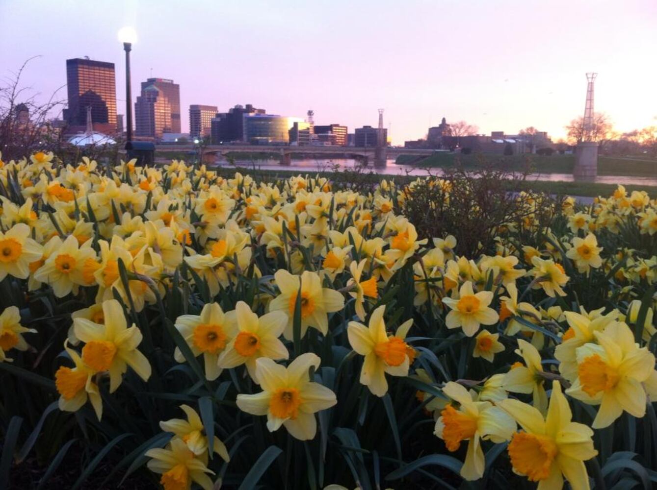PHOTOS:  Spice up your Zoom calls with these iconic Dayton backgrounds