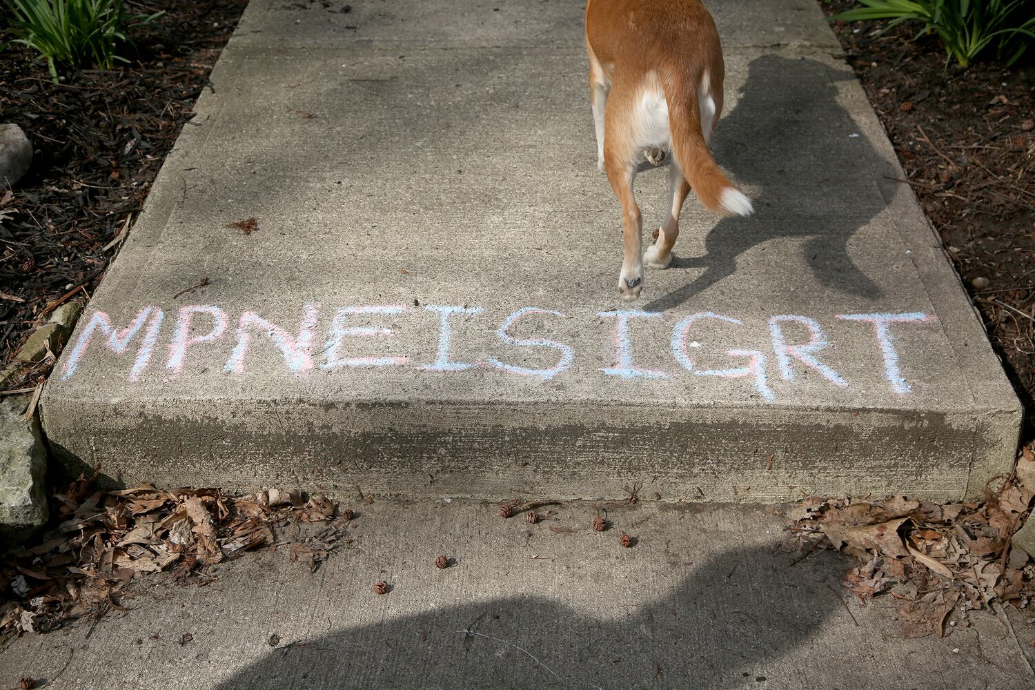 PHOTOS: Simon Says and outdoor word scrambles, Daytonians get creative with social distancing