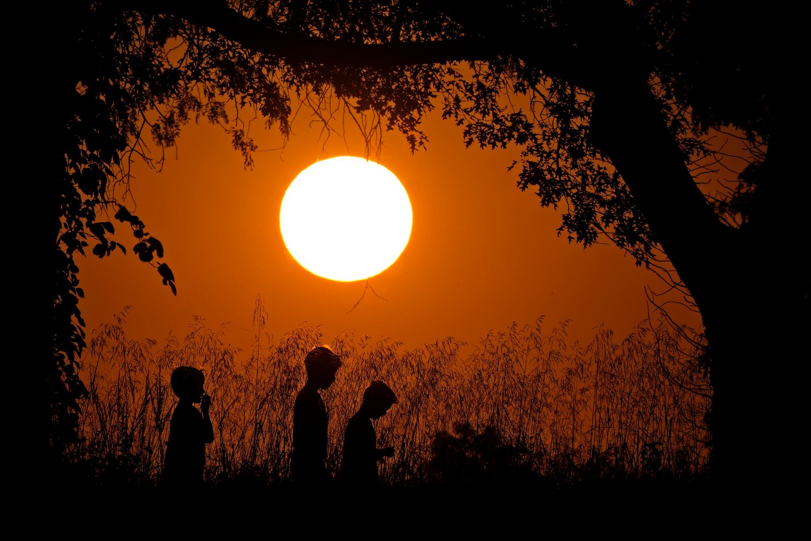 FILE - People are silhouetted against the sky at sunset as they walk at Shawnee Mission park, Sept. 26, 2024, in Shawnee, Kan. (AP Photo/Charlie Riedel, File)