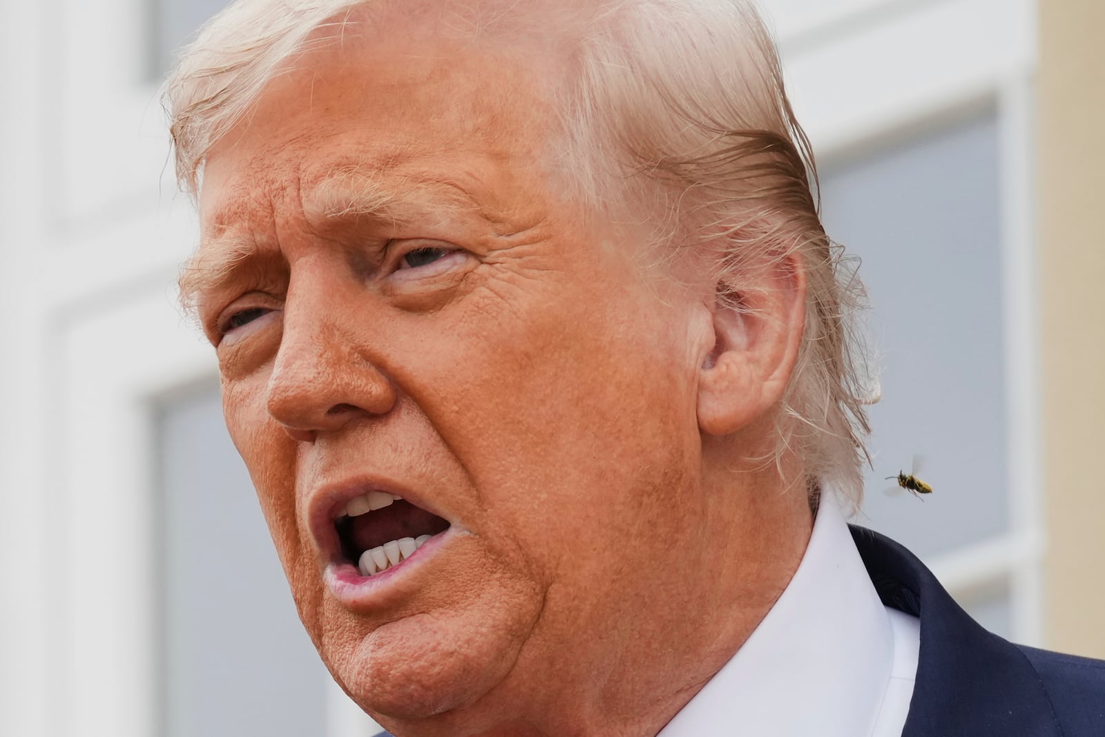 An insect hovers near President Donald Trump as he speaks with the media during an official greeting with Britain's Prime Minister Keir Starmer and his wife Victoria at the Trump Turnberry golf course in Turnberry, Scotland Monday, July 28, 2025. (AP Photo/Jacquelyn Martin)