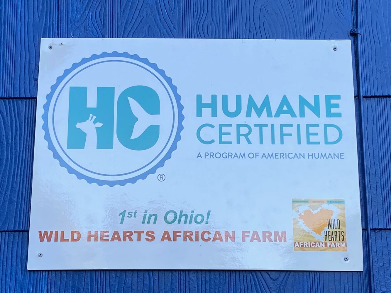 PHOTOS: Wild Hearts African Farm is a little slice of paradise