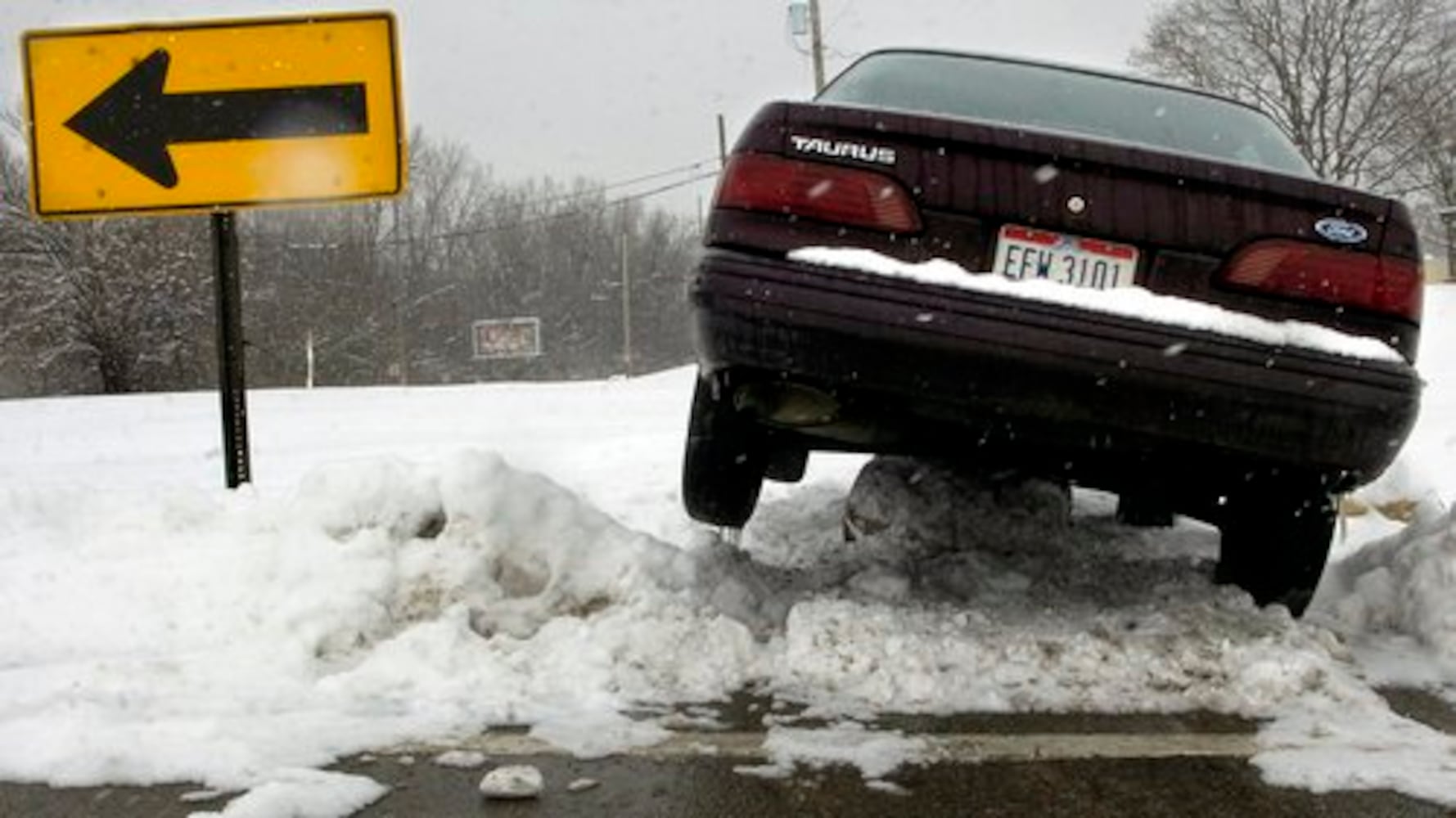 2008 Staff Photos of the Year