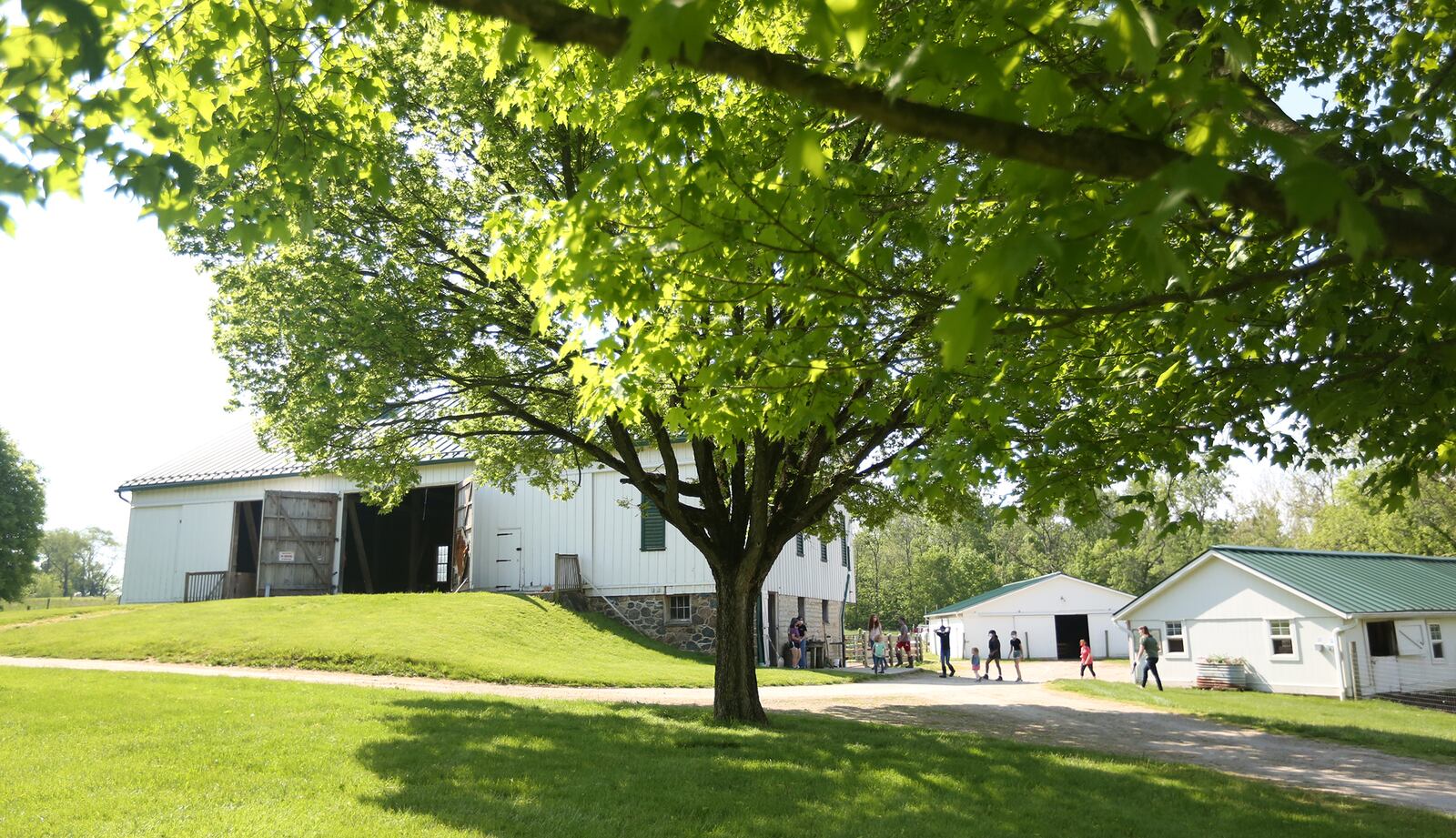 Aullwood Farm is bursting with baby animals. Visitors can see Tunis lambs, Nigerian dwarf goats, piglets, ducklings and quail that were born on the farm this year. Aullwood Farm is located at 9101 Frederick Pike and open Tuesday through Saturday from 9 a.m. to 5 p.m. and Sunday from 1 p.m. to 5 p.m. Admission is free for children 2 and under, $7 for children 3 to 11, and $10 for adults 12 and over. Members of Friends of Aullwood and the National Audubon Society receive free admission with membership card. LISA POWELL / STAFF