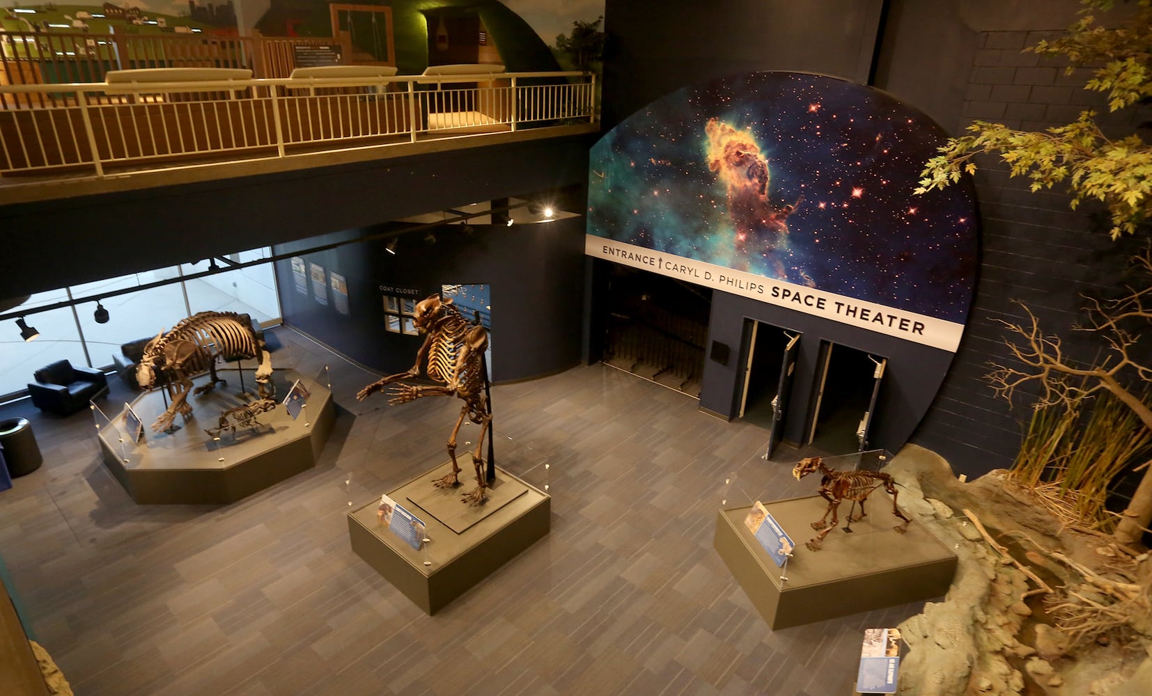 PHOTOS: Boonshoft Museum of Discovery reopens with old favorites and rarely seen artifacts from the collection