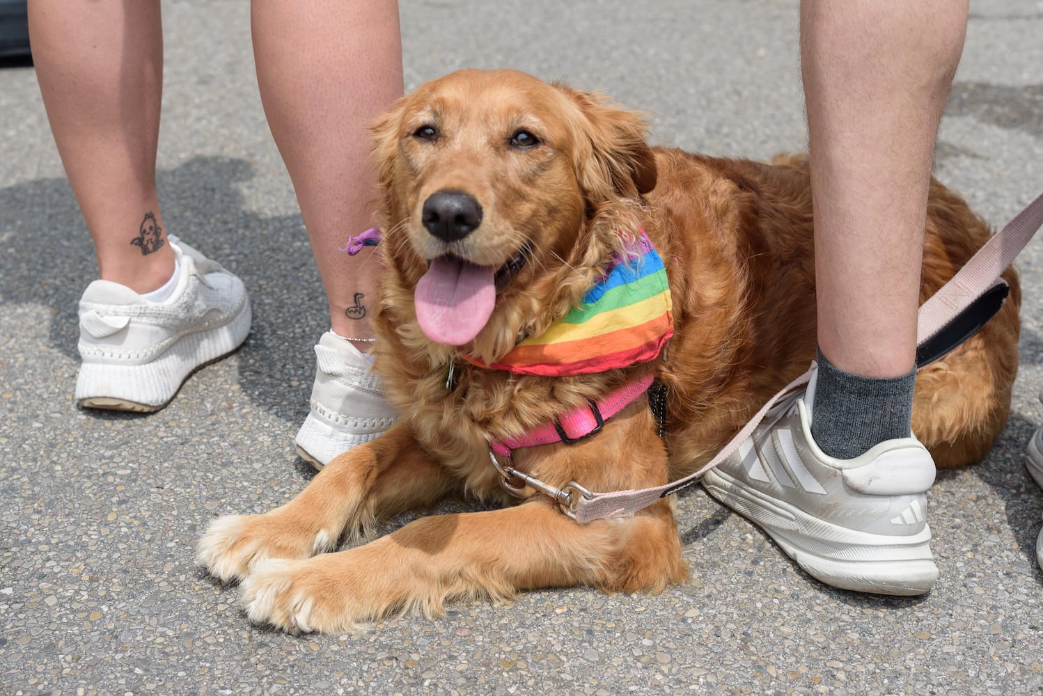 PHOTOS: Dayton Pride 2025 Parade & Festival