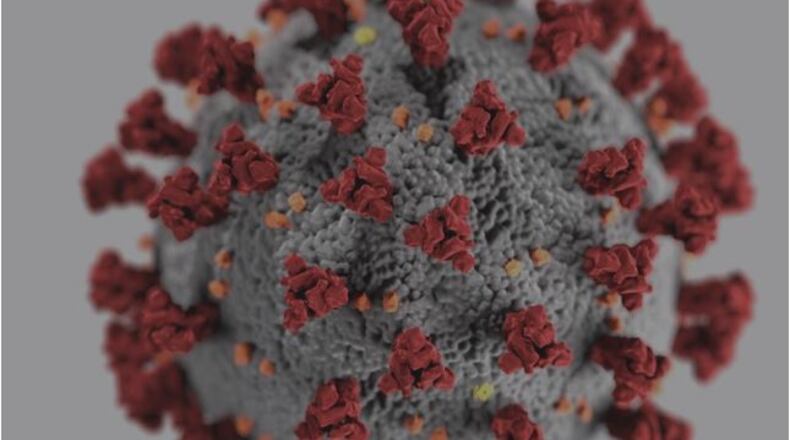 The novel coronavirus, known as COVID-19, has rapidly spread across the world.