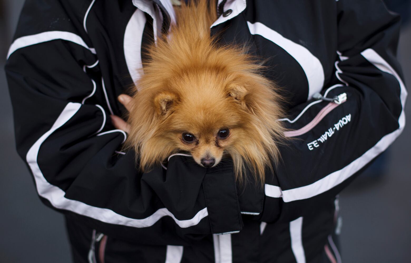 News hounds (3/13/2014)