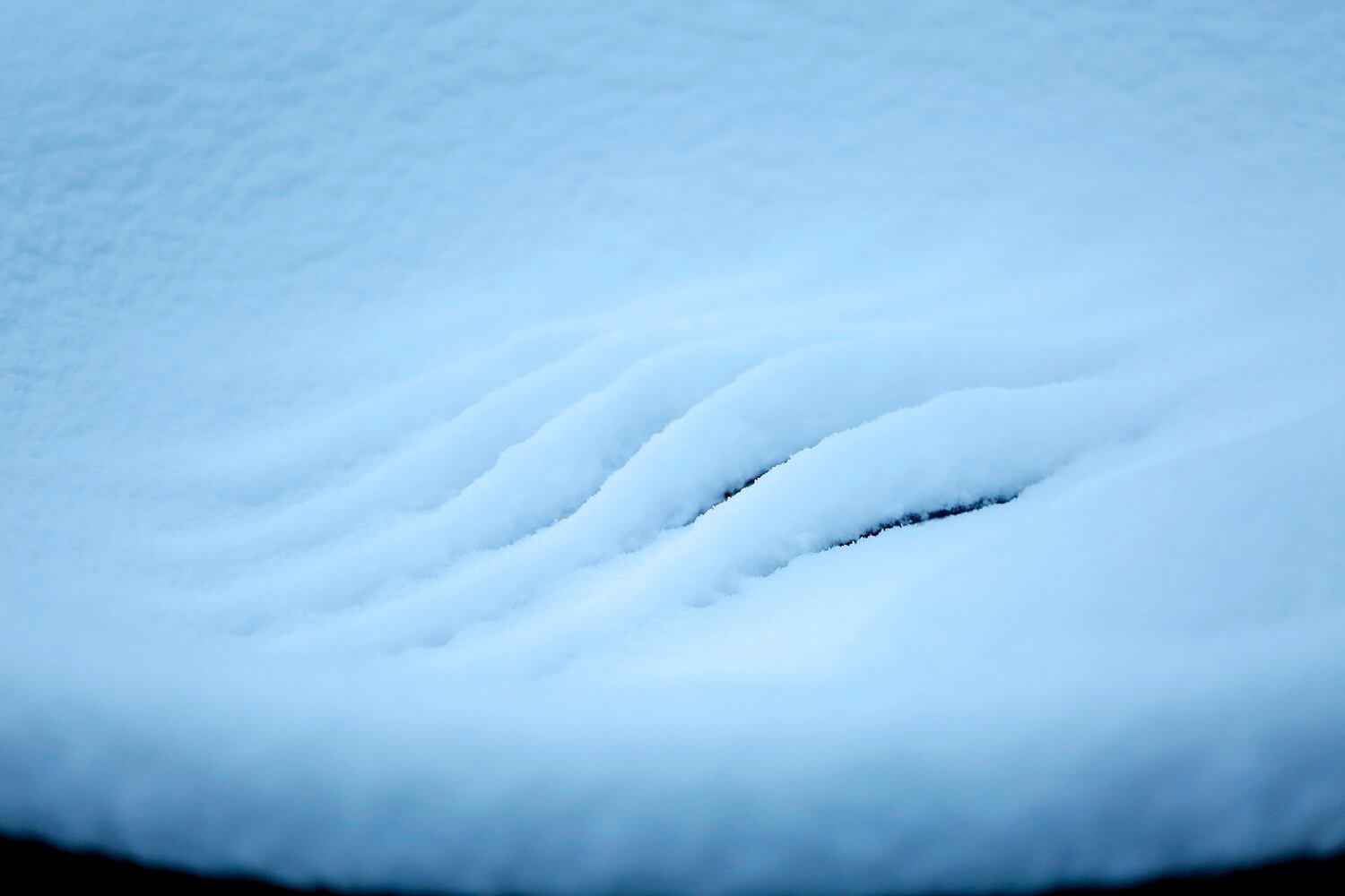 Snowy details and patterns