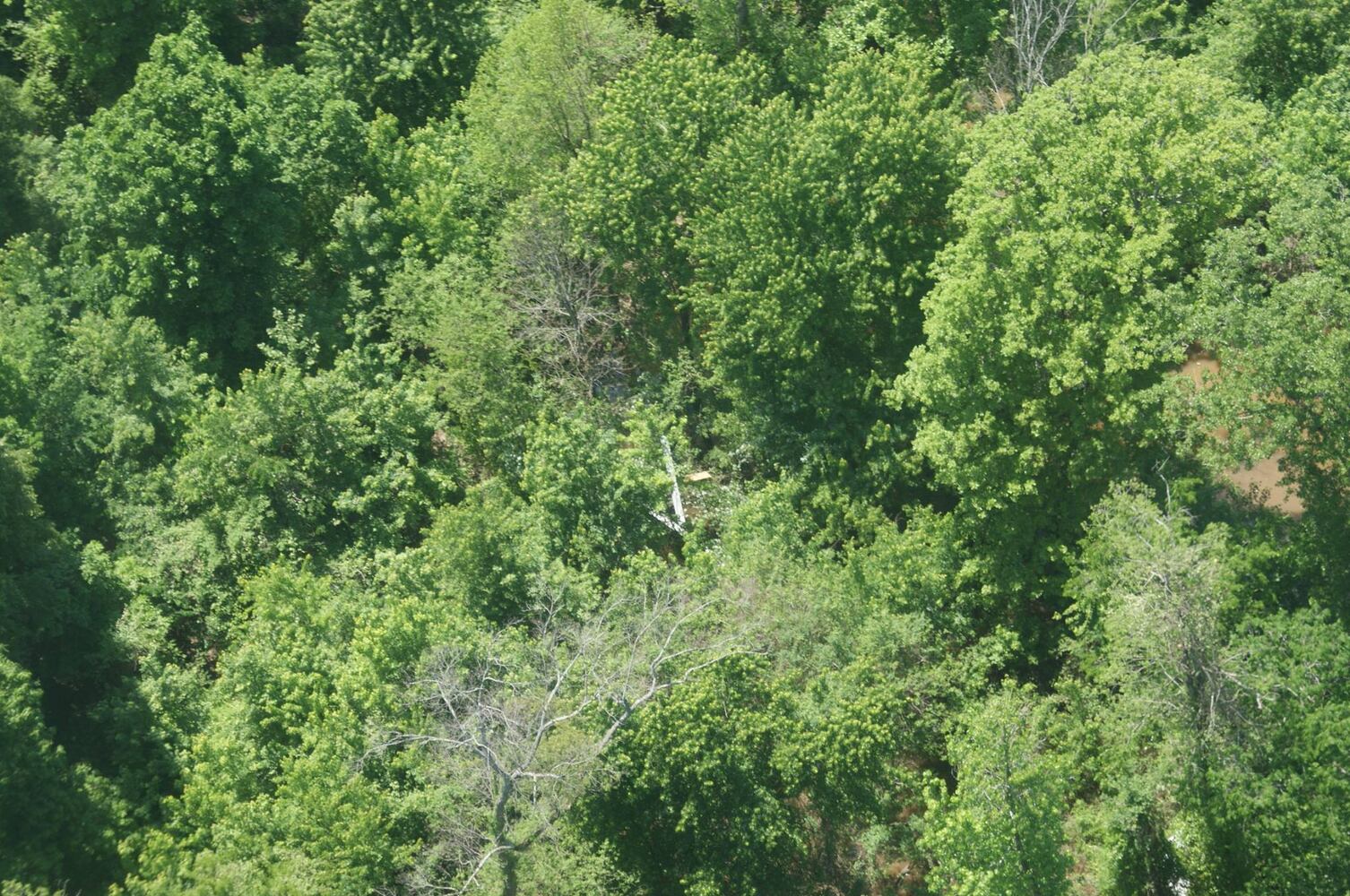 Xenia man crashes plane in Tennessee