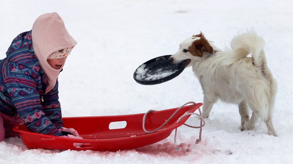 Rosalie Fisher and her dog, Bunny, play in the snow at Bomberger Park in Dayton’s St. Anne’s Hill neighborhood on Tuesday, Jan. 7, 2025. MARSHALL GORBY\STAFF