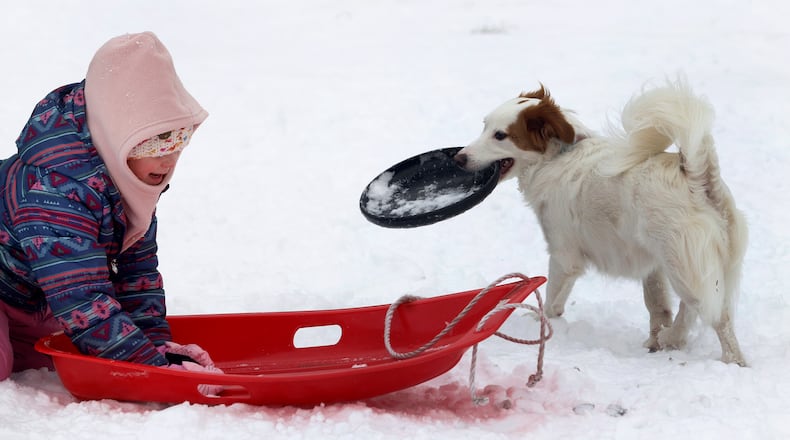 Rosalie Fisher and her dog, Bunny, play in the snow at Bomberger Park in Dayton’s St. Anne’s Hill neighborhood on Tuesday, Jan. 7, 2025. MARSHALL GORBY\STAFF
