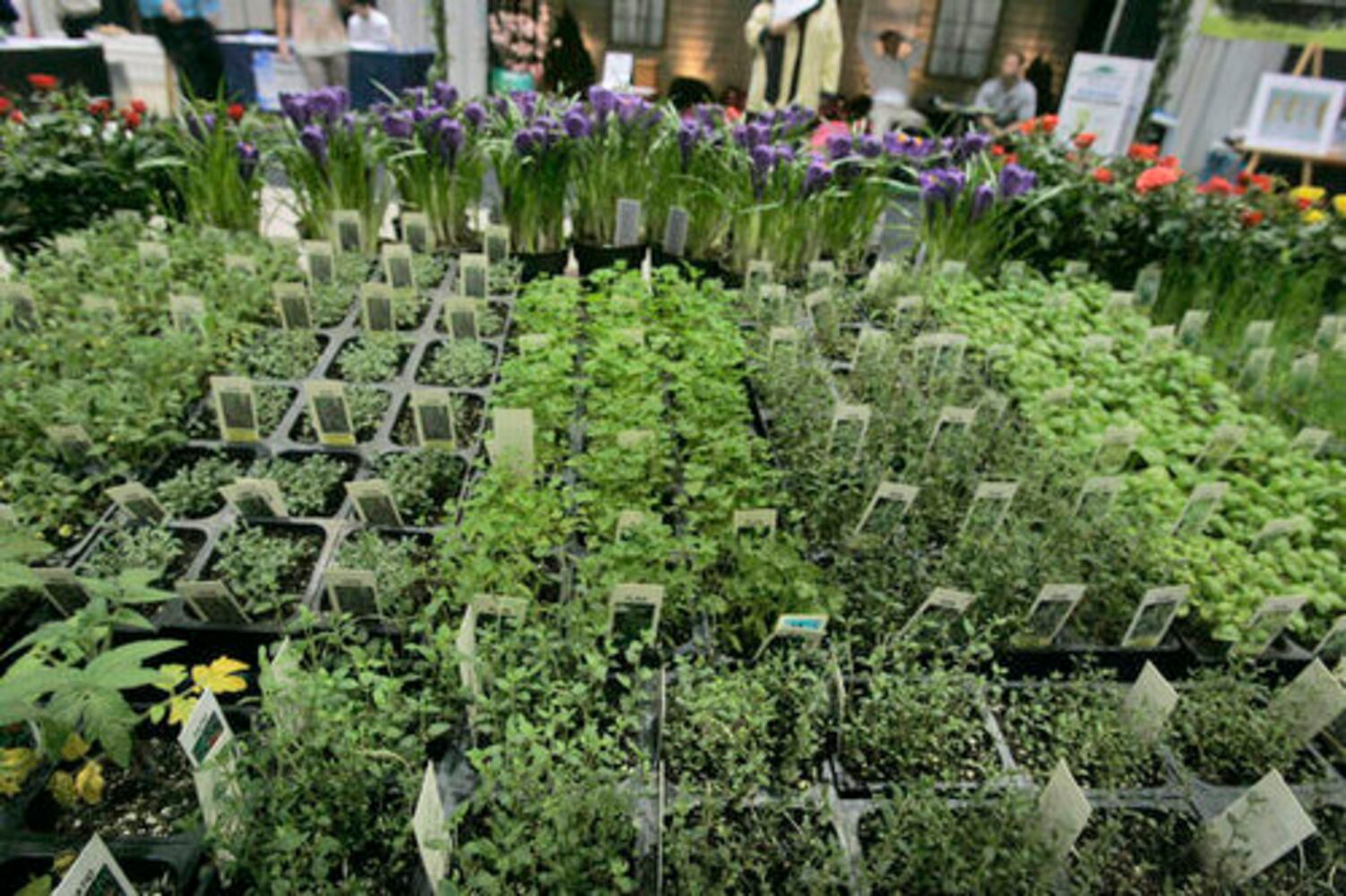 Dayton Home & Garden Show