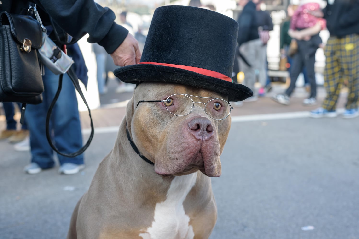 PHOTOS: 2025 Christmas in Historic Springboro