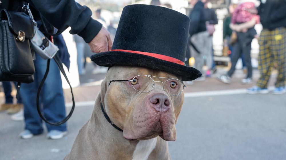 The 38th annual Christmas in Historic Springboro, the largest three-day holiday festival in the tri-state area, happened on Main St. from Friday, Nov. 21 through Sunday, Nov. 23, 2025. Here’s a look at highlights from Saturday. TOM GILLIAM/CONTRIBUTING PHOTOGRAPHER