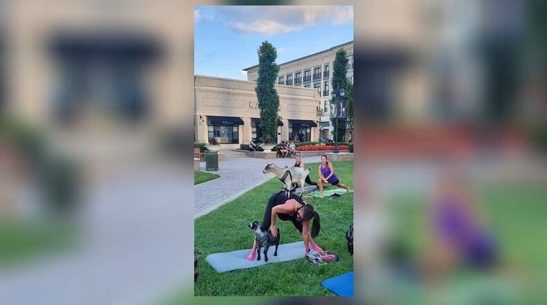 GoatCountry LLC is returning to The Greene for goat yoga this spring. CONTRIBUTED