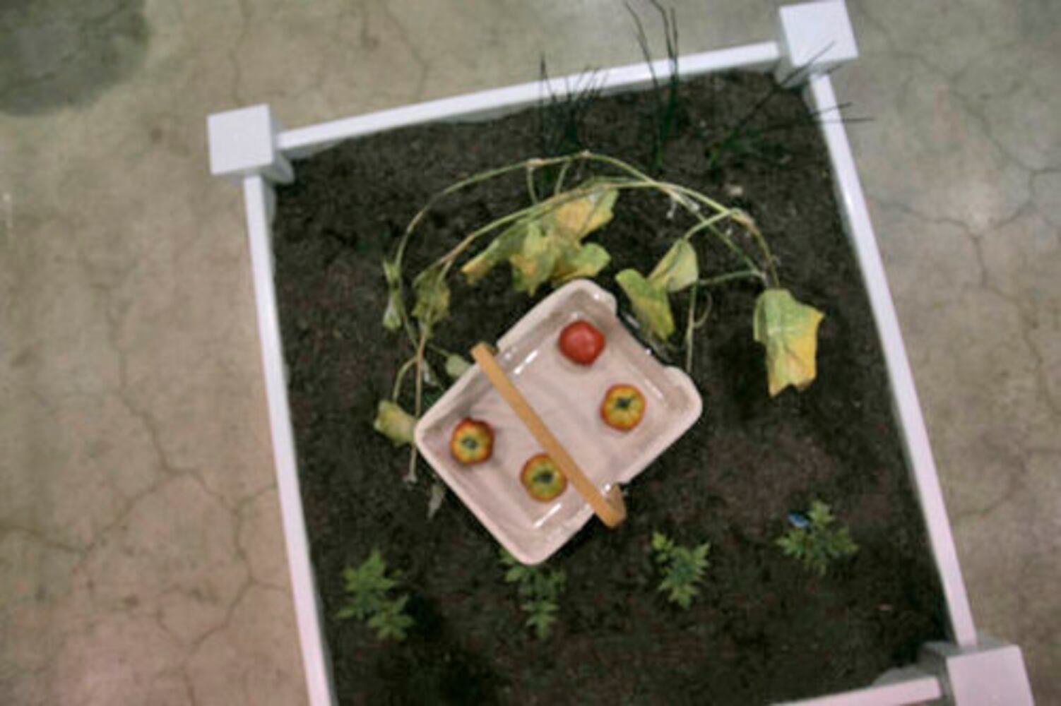 Dayton Home & Garden Show