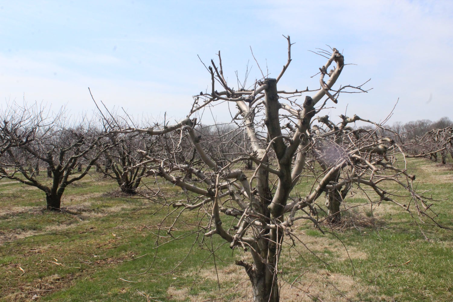 Photos: Monnin’s Fruit Farm getting ready for 58th season