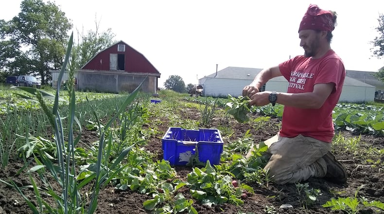 Patchwork Gardens, 9057 W. 3rd St., Dayton, has a growing community-supported agriculture program. CONTRIBUTED