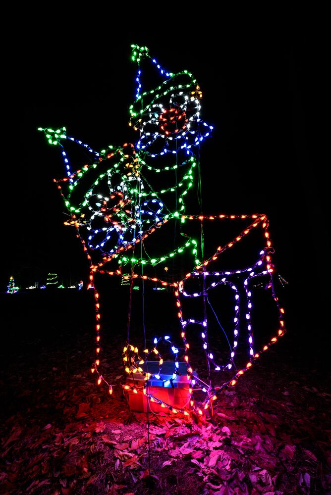 PHOTOS: Fort Saint Clair Whispering Christmas light display in Eaton