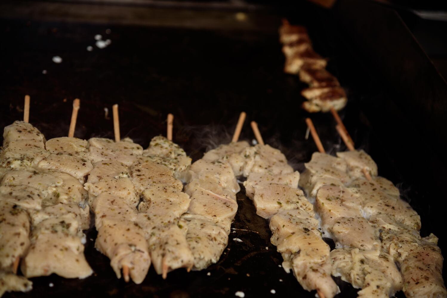 PHOTOS: OPA! Here’s who we spotted at Dayton Greek Festival