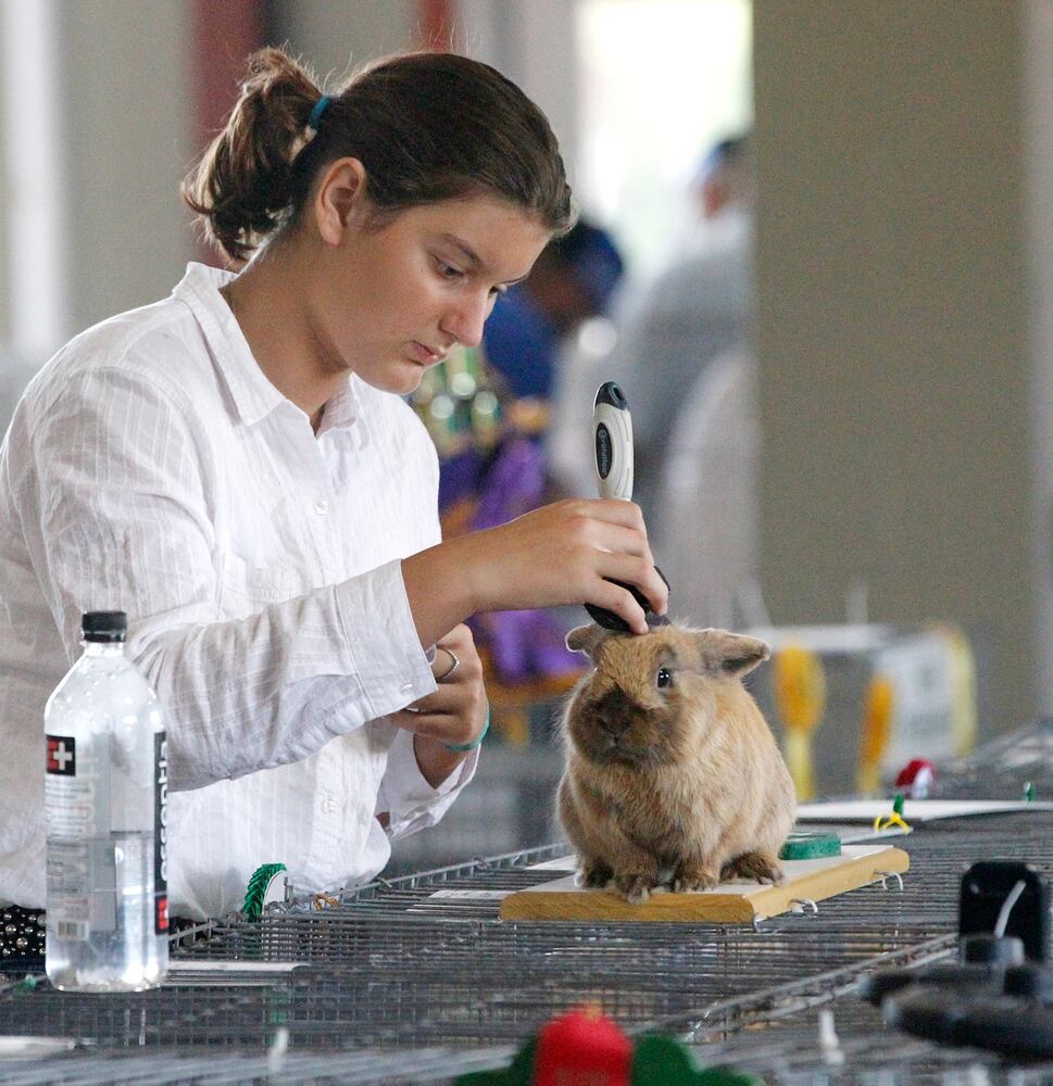 Kids and their animals big and small at Montgomery County Fair
