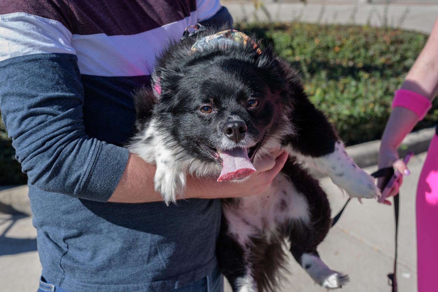 PHOTOS: Did we spot you and your dog at Wag-O-Ween at the Kettering Recreation Center?
