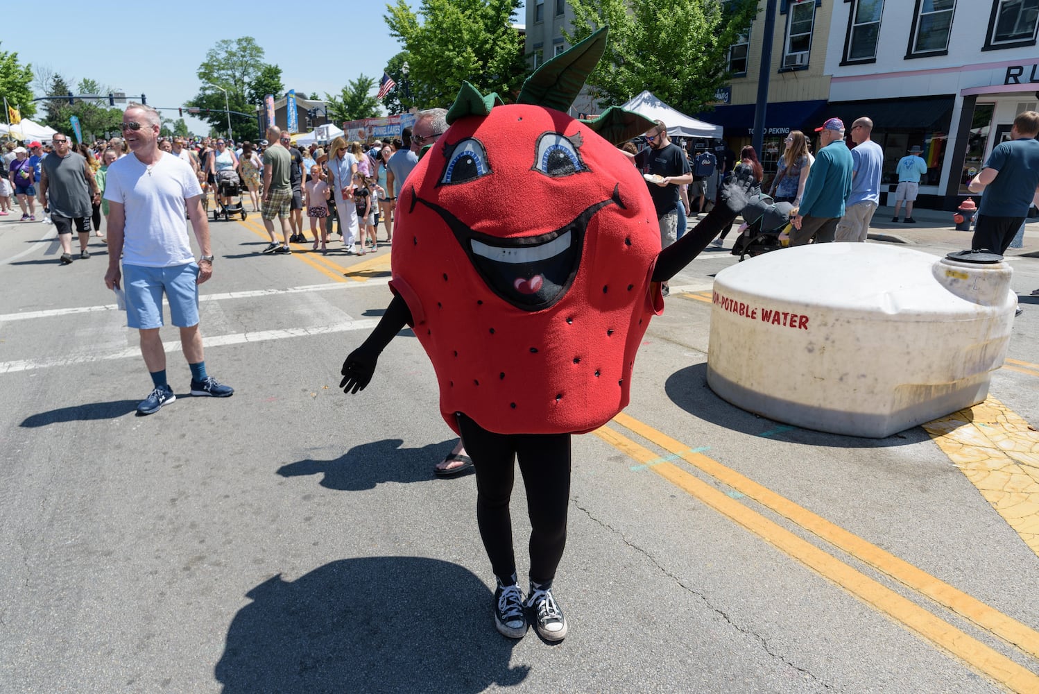 PHOTOS: Did we spot you at the Troy Strawberry Festival?