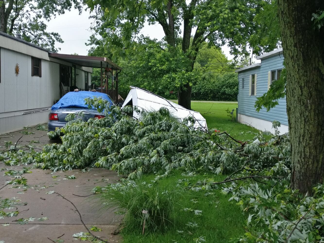 Storm damage