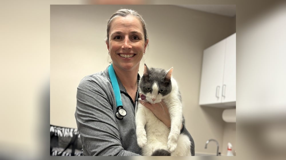 Dr. Jennifer Pue-Gilchrist, Pip's vet, gingerly holds a grumpy Pip who just had his yearly physical and his vaccinations updated. CONTRIBUTED