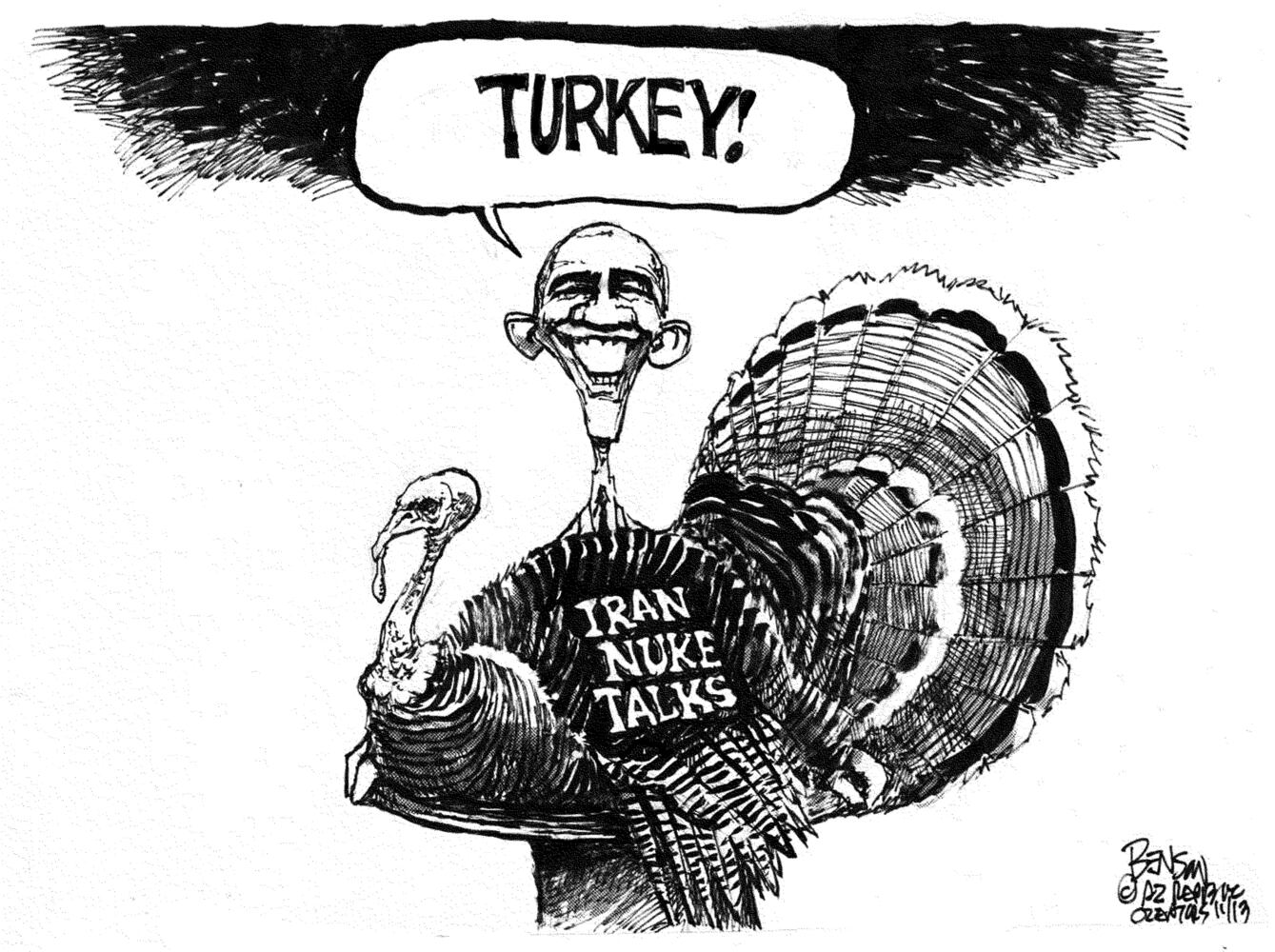 Today's cartoons 11/13