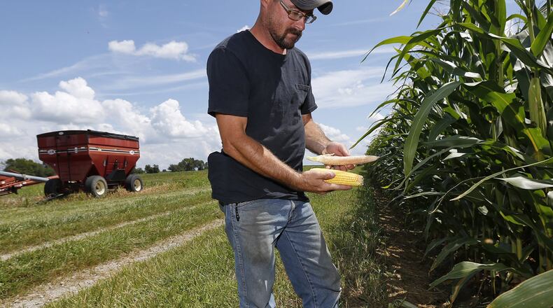Third generation farmer Darren Reed, 36, from Jamestown compares a relatively healthy ear of corn with an ear from the next plant over which has no developed kernels. Reed says the weather has been huge factor for farmers since a wet harvest season in late 2018 prevented many from getting crops out the field and into spring when they couldn’t plant because it was too wet. TY GREENLEES / STAFF