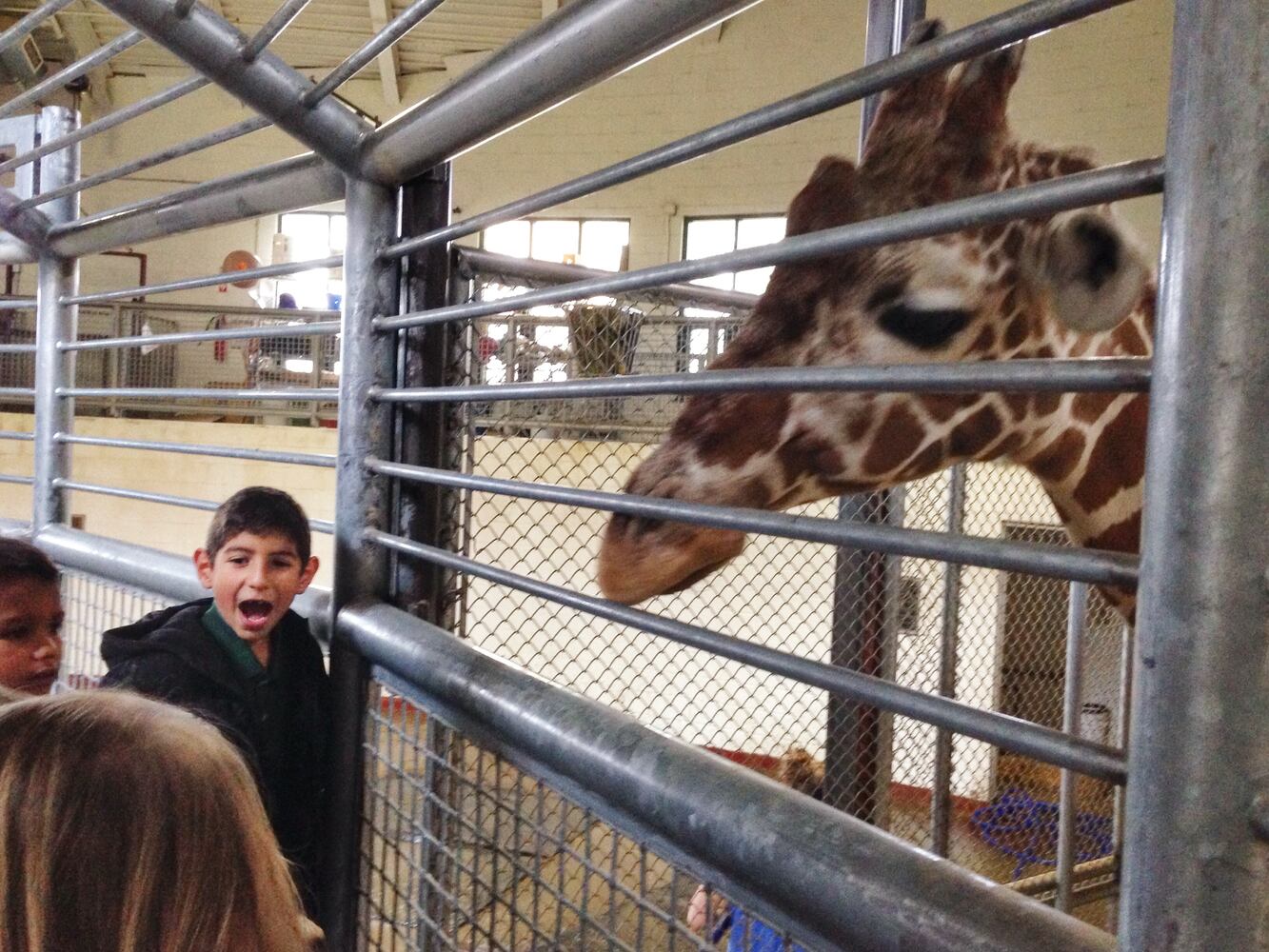 GIRAFFE