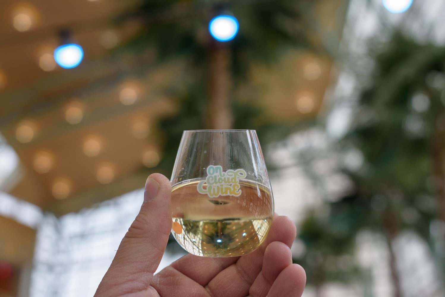 PHOTOS: Did we spot you at On Cloud Wine at the Schuster Center?