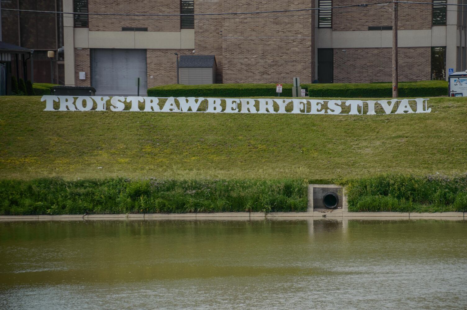 PHOTOS: Troy Strawberry Festival 2017