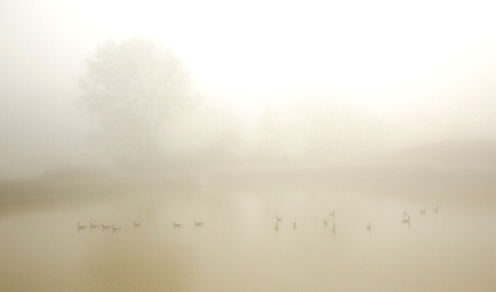 PHOTOS: See the dense fog that covered the Miami Valley on Tuesday