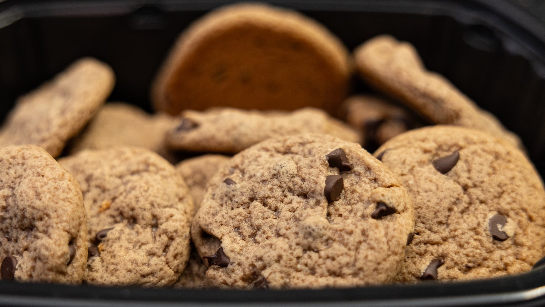 DDN 112425 DDN Holiday Cookie Contest