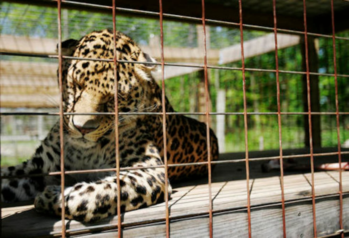 Heaven's Corner Zoo