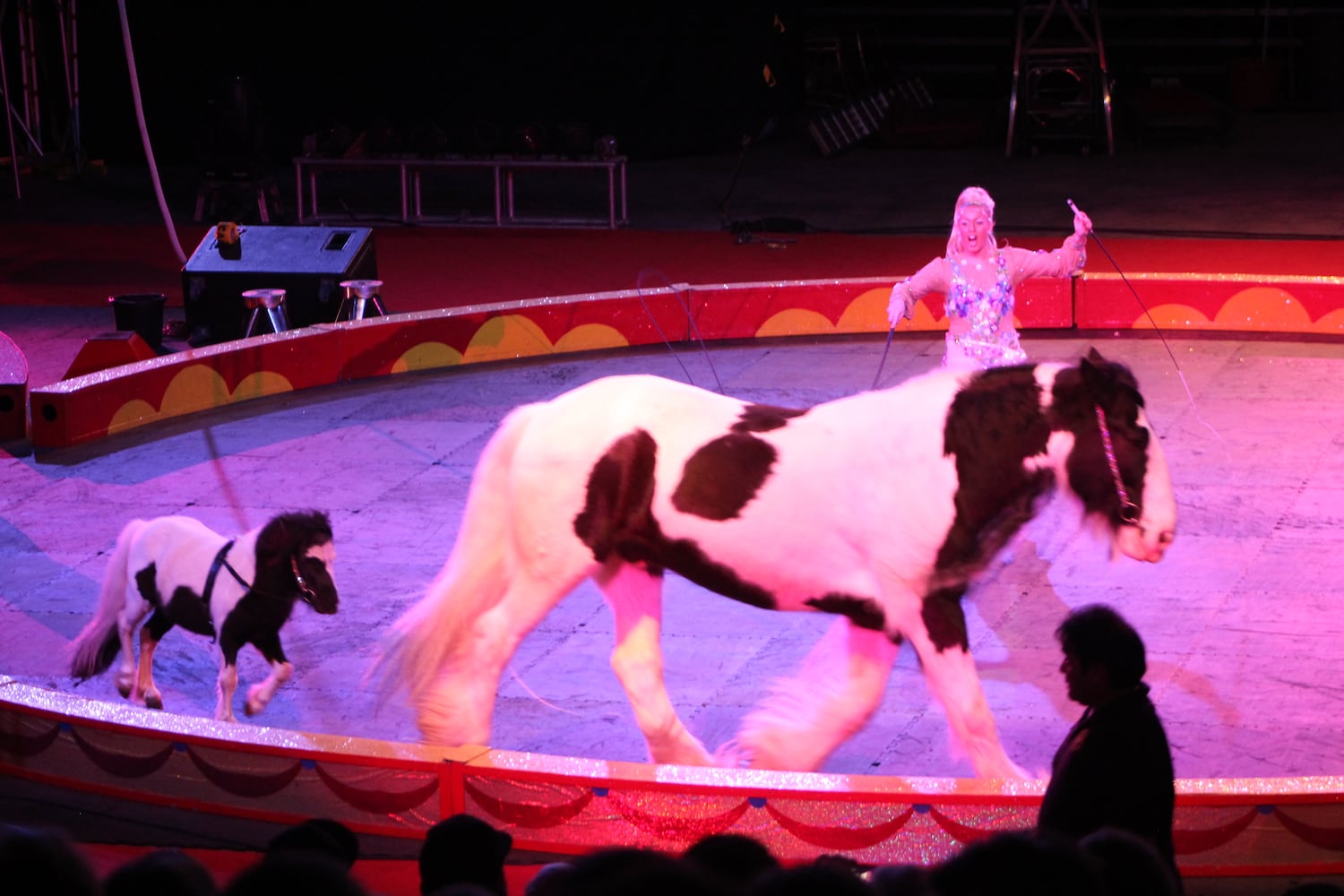 PHOTOS: Antioch Shrine Circus at UD Arena