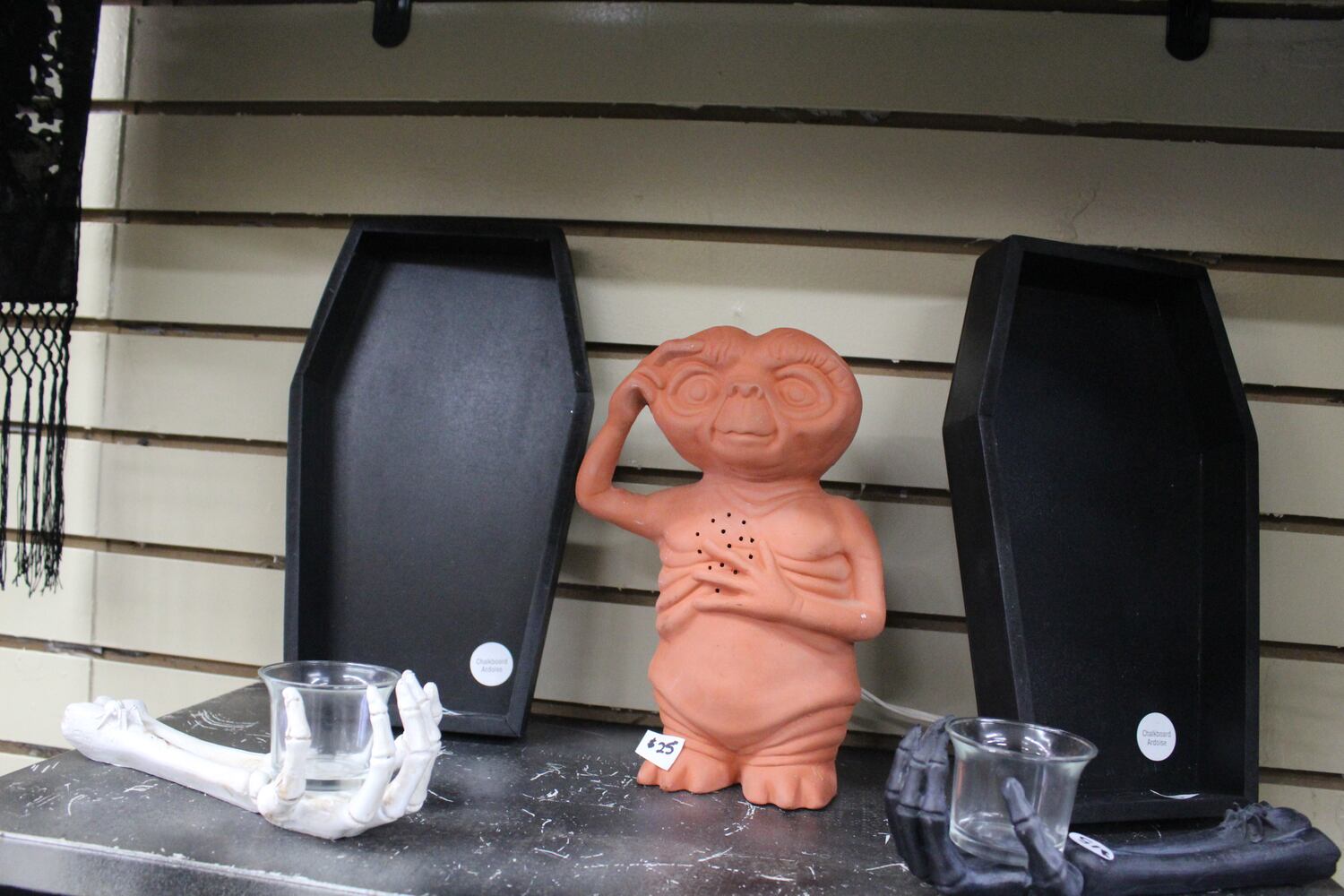 Photos: The Secret Chamber  House of Oddities and Art