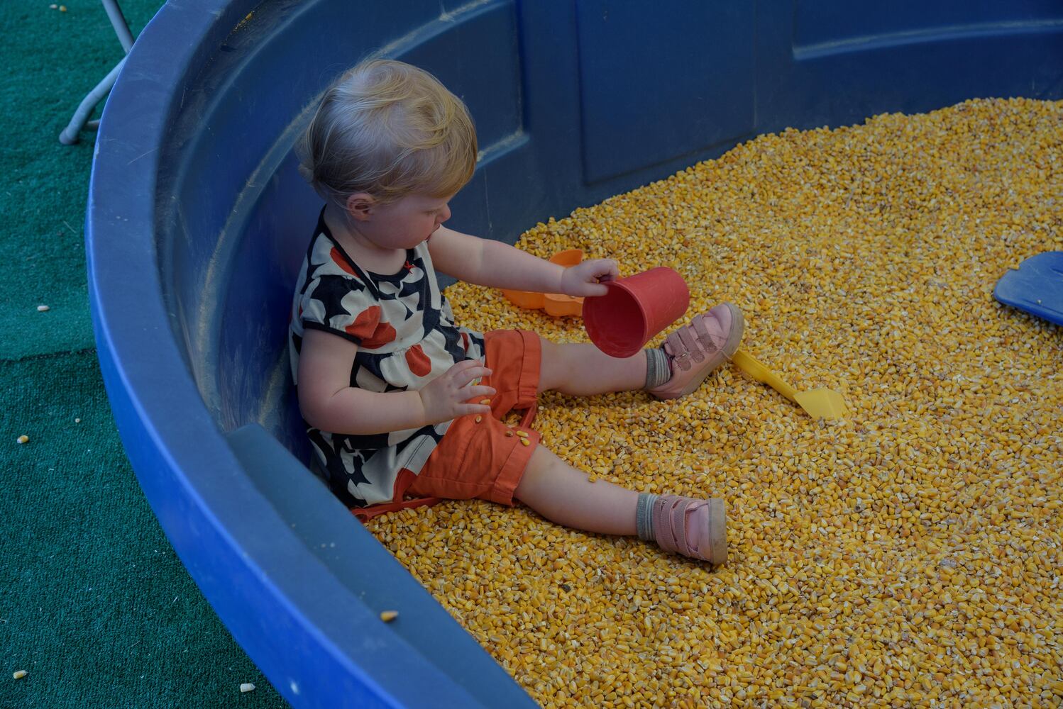 PHOTOS: Did we spot you at Young’s Jersey Dairy over Memorial Day weekend?