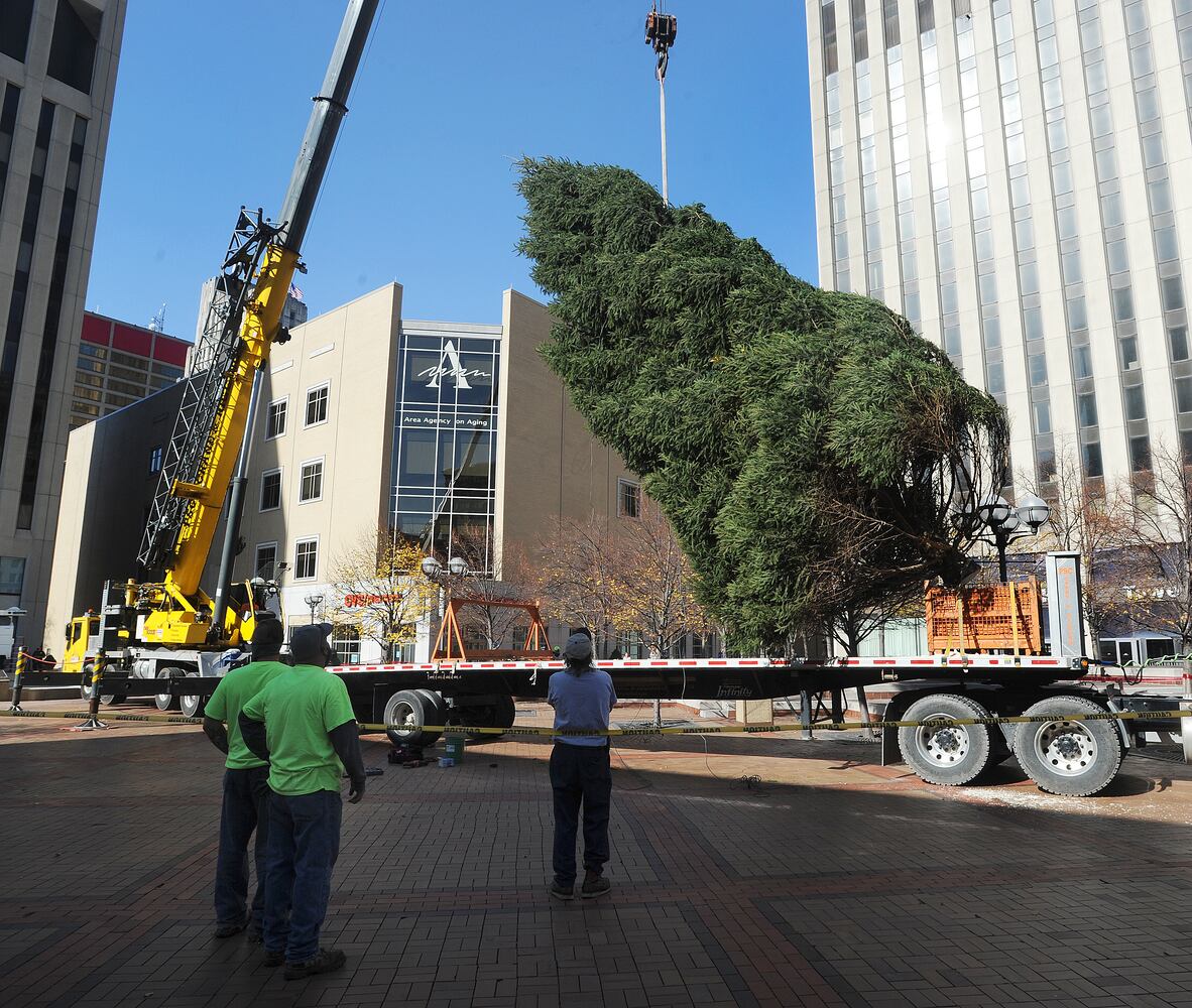 PHOTOS: Tree arrives for Dayton Holiday Festival