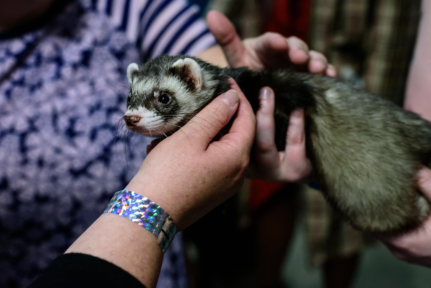 PHOTOS: SICSA's The PET Gala at The Modern College of Design