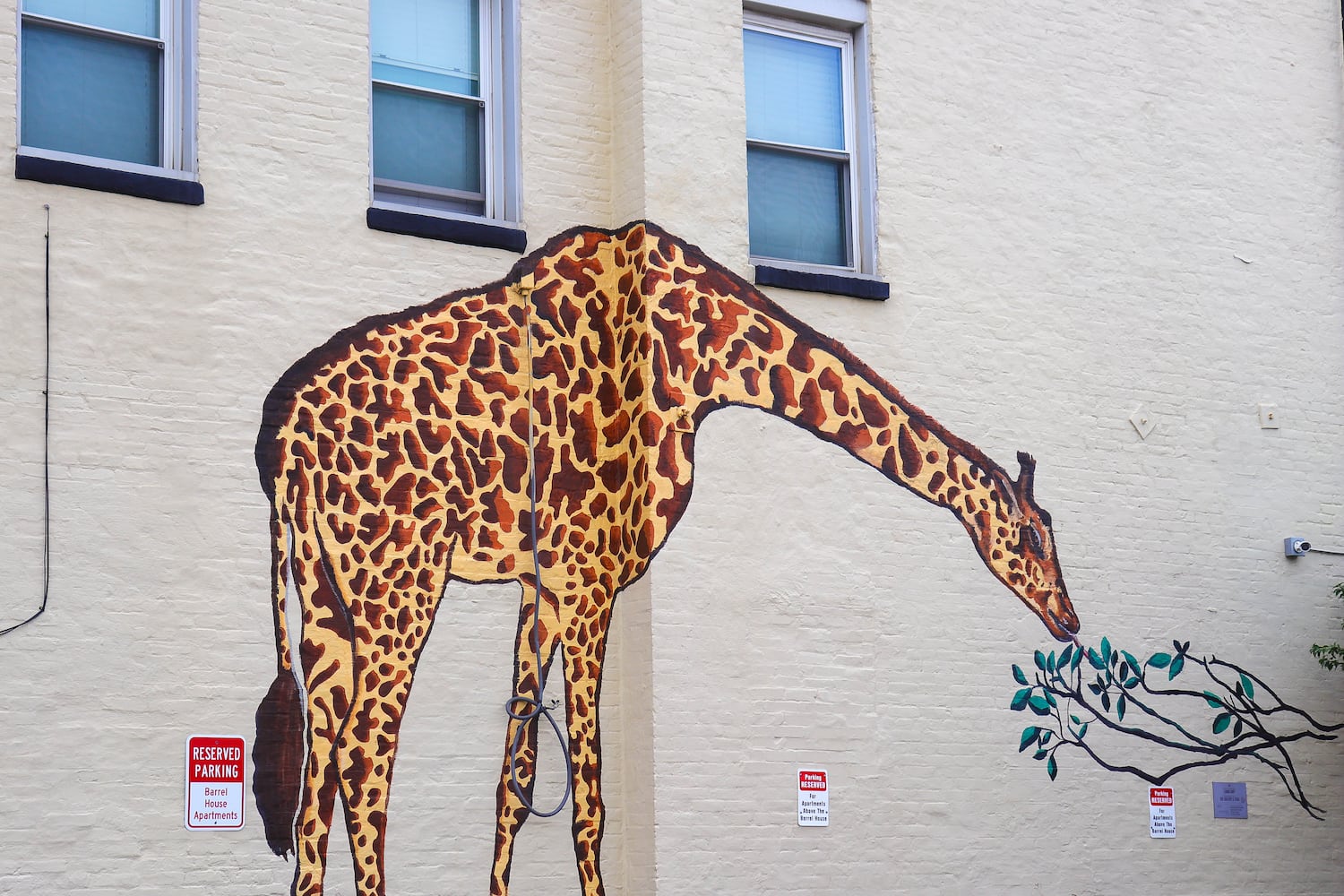 071525 giraffe mural