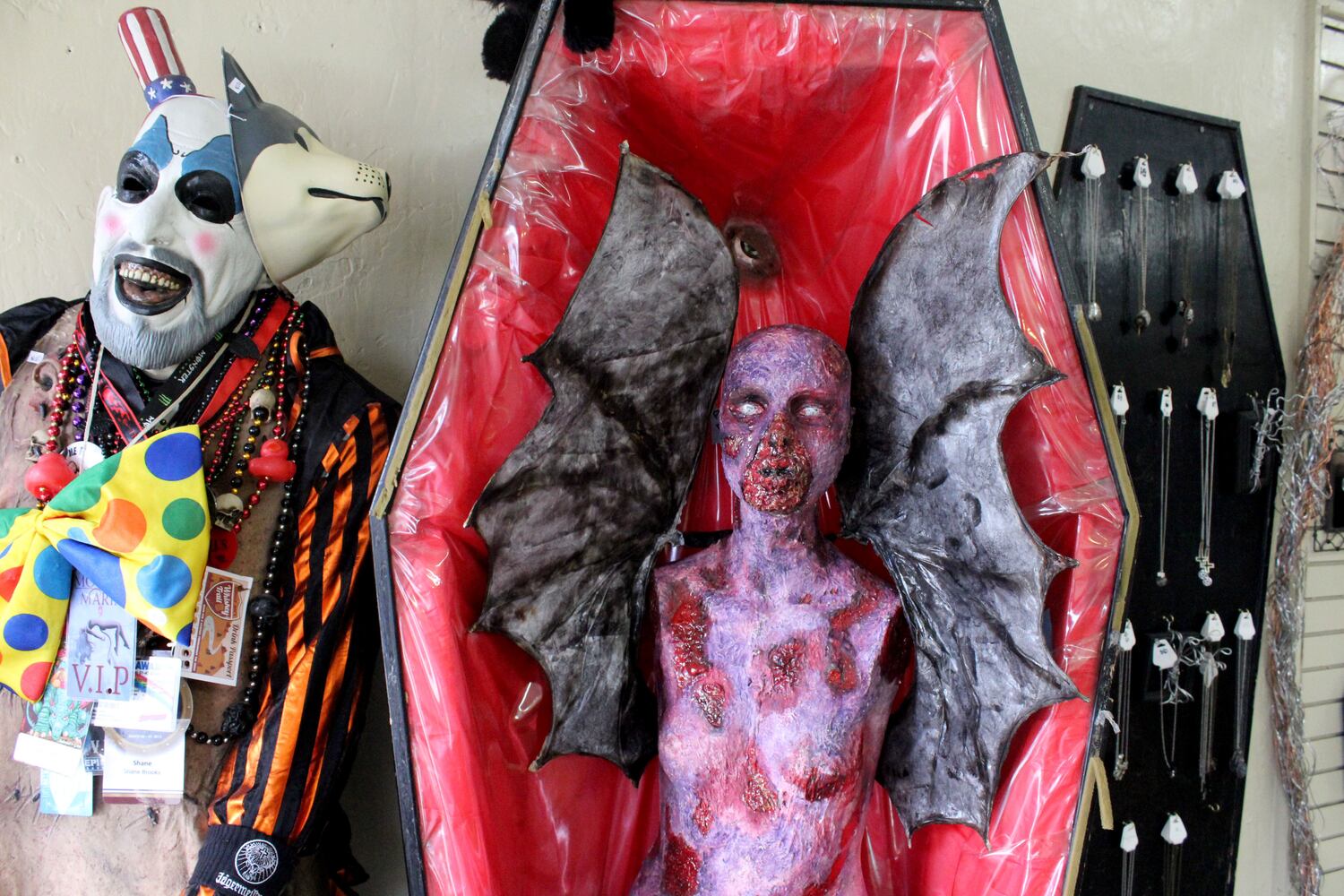 Photos: The Secret Chamber  House of Oddities and Art