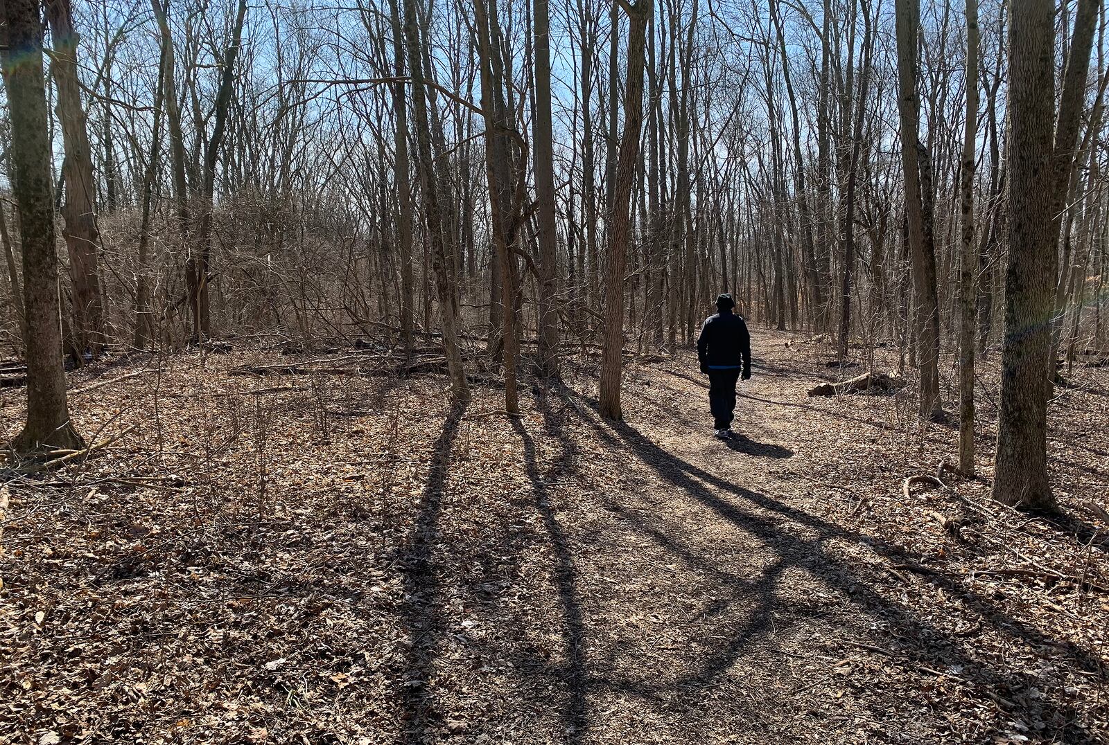 The former Argonne Forest Park , popular in Dayton during the 1930s, was located on the current site of Possum Creek MetroPark. Remnants of the park can still be found but most of the history has disappeared into the forest. LISA POWELL / STAFF