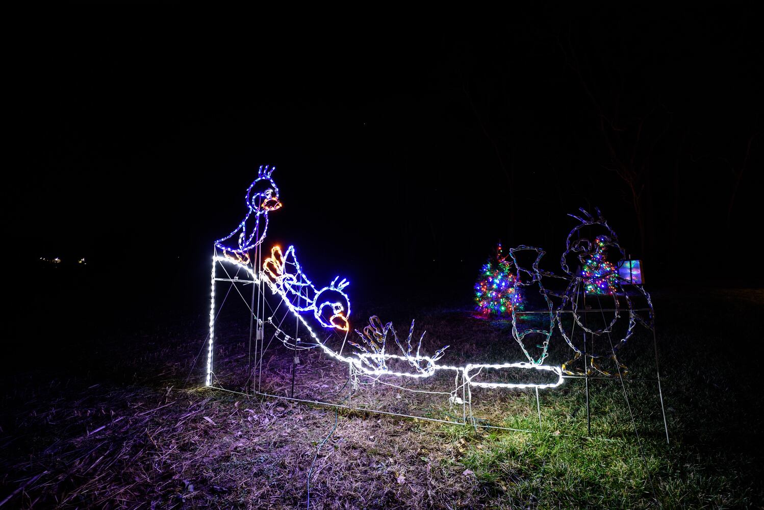 PHOTOS: Holiday Lights dazzle at Lost Creek Reserve in Troy
