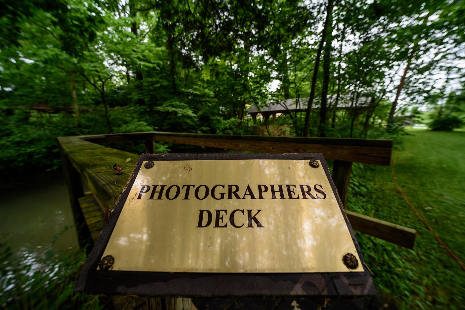 Bear's Mill Greenville