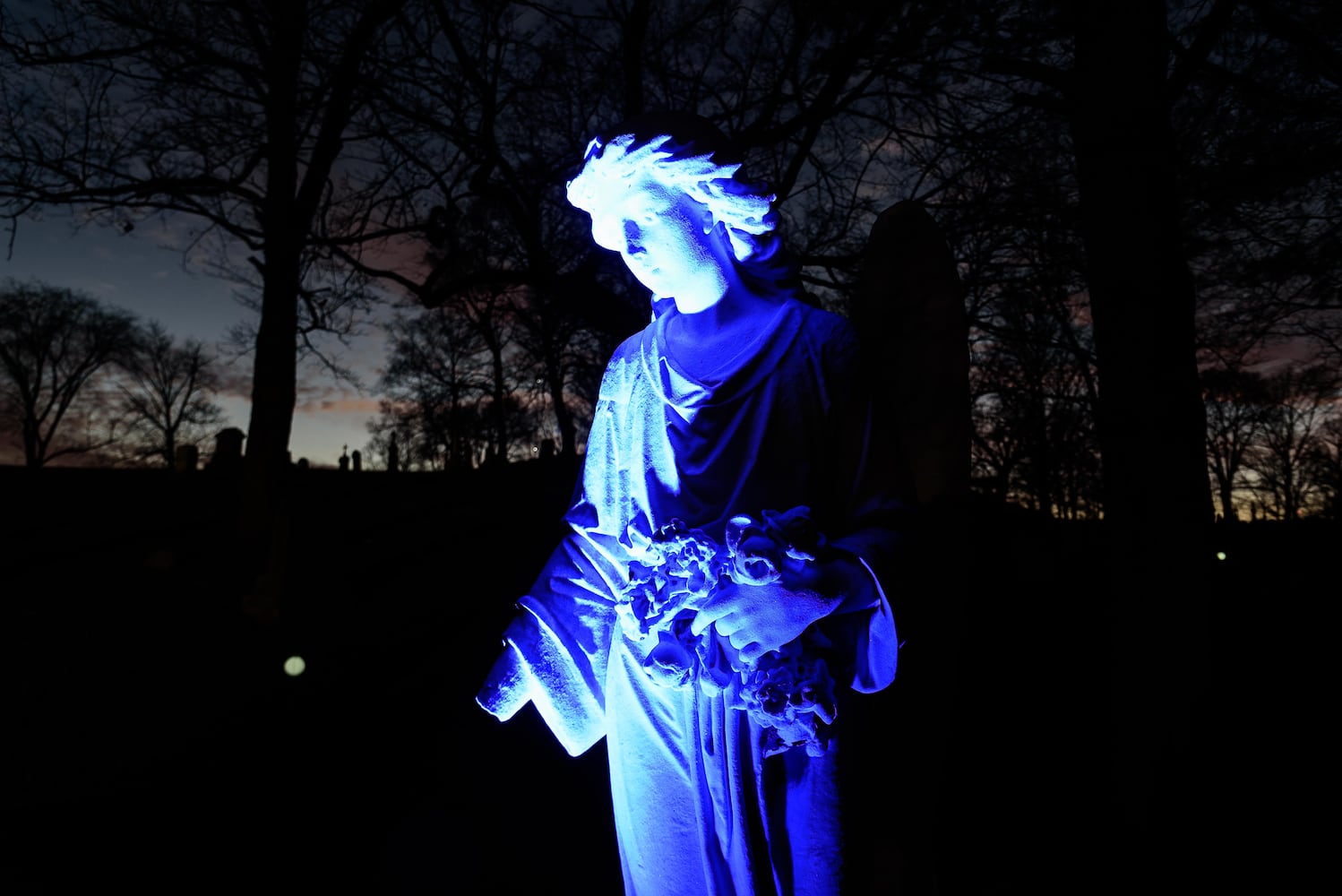PHOTOS: Angel Night at Calvary Cemetery