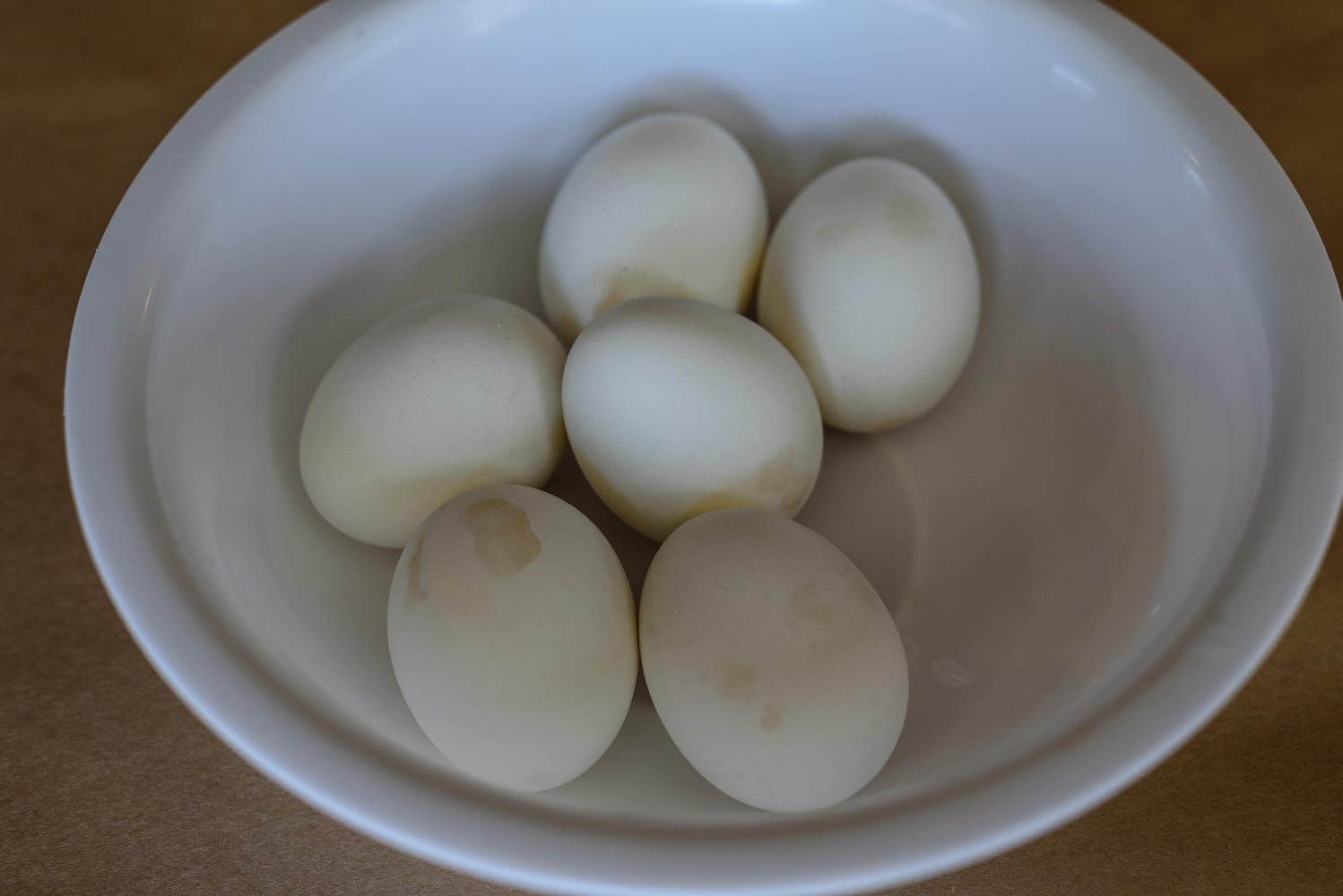 PHOTOS: Eggstravaganza at Lost Creek Reserve