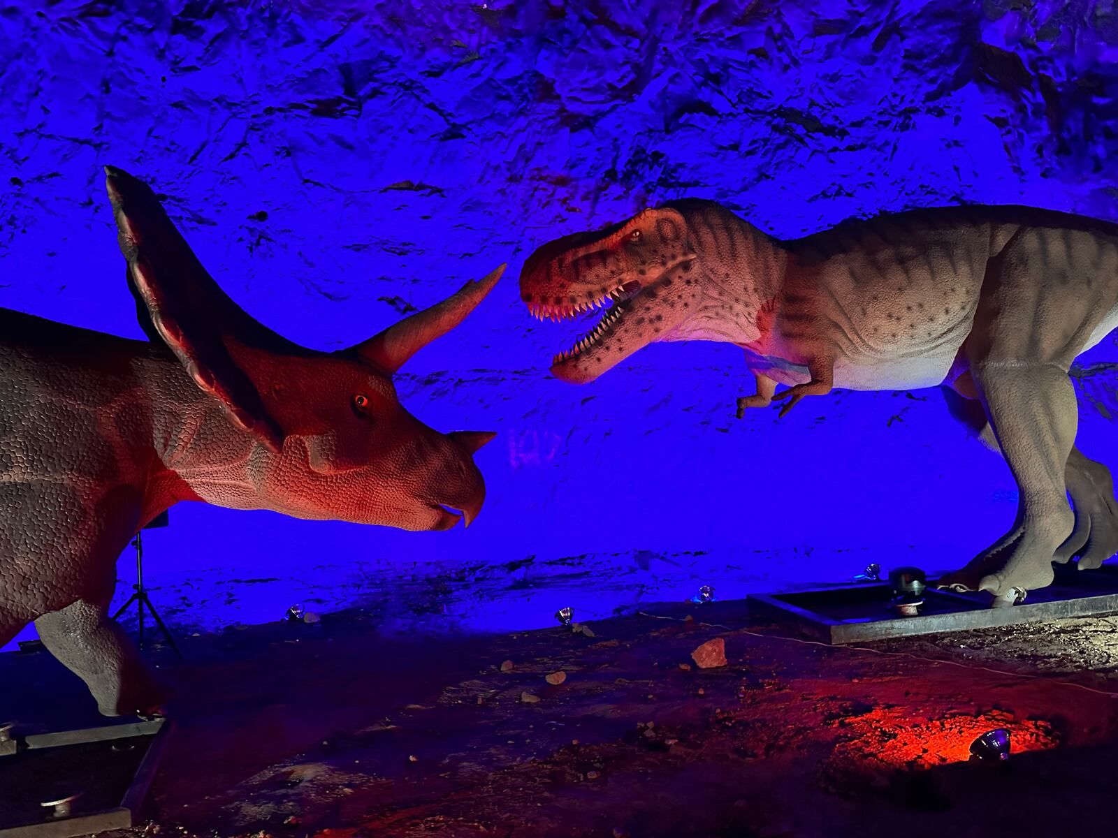 Dinosaurs return to Louisville Mega Cavern Feb. 18 with Dinos Under Louisville. The drive-thru features 80 animatronic dinosaurs and runs until April 30. CONTRIBUTED